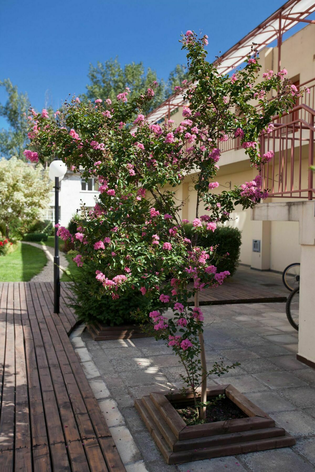 Apartments In Central Plaza Sunny Beach Exterior foto